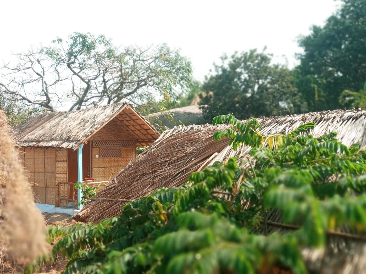 Hampi Nature Cottage 외부 사진